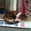 노룬산수퍼 이미지