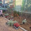 신월동017 이미지