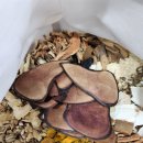 효심한의원 이미지