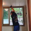 럭키타운 이미지