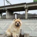 별득구