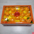 쇠소깍휴게소농수산직판장