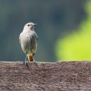 임재농장 이미지