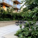 솔라리움 이미지