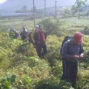 (주)삼정주유소 | 제9구간(21번국도 ∼ 대야리도로)