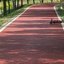 진안읍 1162 이미지