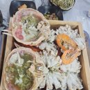 구룡포산오징어회식당 이미지