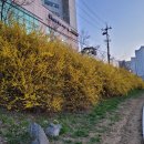 맑은 세탁 이미지