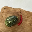 동근농장 이미지