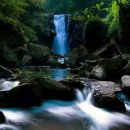 황금헬스 이미지