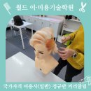 월드이·미용기술학원 티스토리