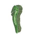 월송리 컨트리클럽 이미지