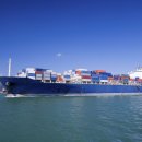 신항부동산중개 이미지