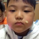 장엄유치원 이미지