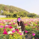 삼오행정사사무소 이미지