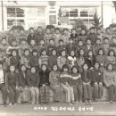 월등초등학교 Daum카페