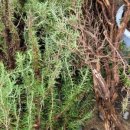 도화민박 이미지