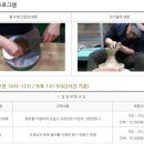 구억리 노랑굴 | 6월 놓치지 말아야 할 제주 관광 10선 /9. 제주 구억옹기마을 ‘놀멍 빚으멍’