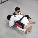 합기도 용호체육관 이미지