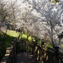 해양공원길 이미지