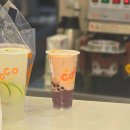 중국 상하이 버블밀크티 맛집 코코 CoCo 대표메뉴 주문 방법 위치 가격 방문후기