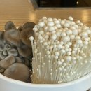 무한버섯나라 | 의정부 샤브샤브 찐맛집 추천 [무한버섯나라 녹양점] 주말 점심 후기