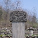 연천군심원사지부도군 이미지