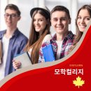 에듀온주 | 캐나다컬리지 모학컬리지(Mohawk College)-엔지니어링,의학,유아교육 등 취업률 Good