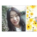 선화초교병설 이미지