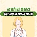 부산광역시 강서구 명지동 교정치과 총정리
