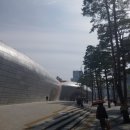 신평화 | 동대문 신평화시장 양말 구경 후기