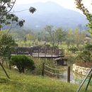 창원단감테마공원 이미지