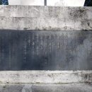 김유정 행장비 이미지