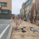 고림초등학교 이미지