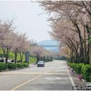 안성맞춤랜드18 이미지