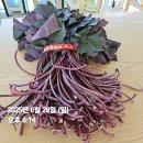 가락2리 이미지