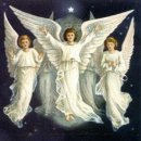 힐라이트 이미지