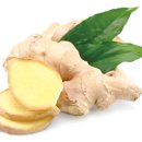 상순이네 하우스 이미지