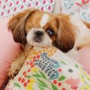 화랑유치원 이미지