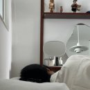 퍼스트크린세탁 이미지