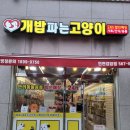개밥파는고양이 - 김포시 김포한강10로133번길 156 | 개밥파는고양이