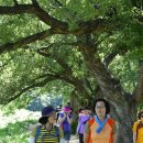 반곡저수지 이미지