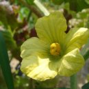 열매유치원 이미지