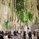 INSIDE BUSAN