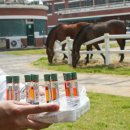 임금축산 이미지