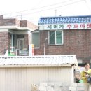 통샘 이미지