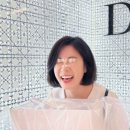 더블와이피