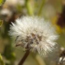 너의 곁에 있을게 이미지