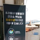 울산착한동물병원 이미지