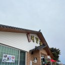 상운길 | 풍자 또간집 &#34;양양&#34;편 [상운 메밀촌] 내돈내산 솔직후기